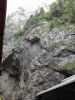 11_091 Gorges Bicaz.jpg